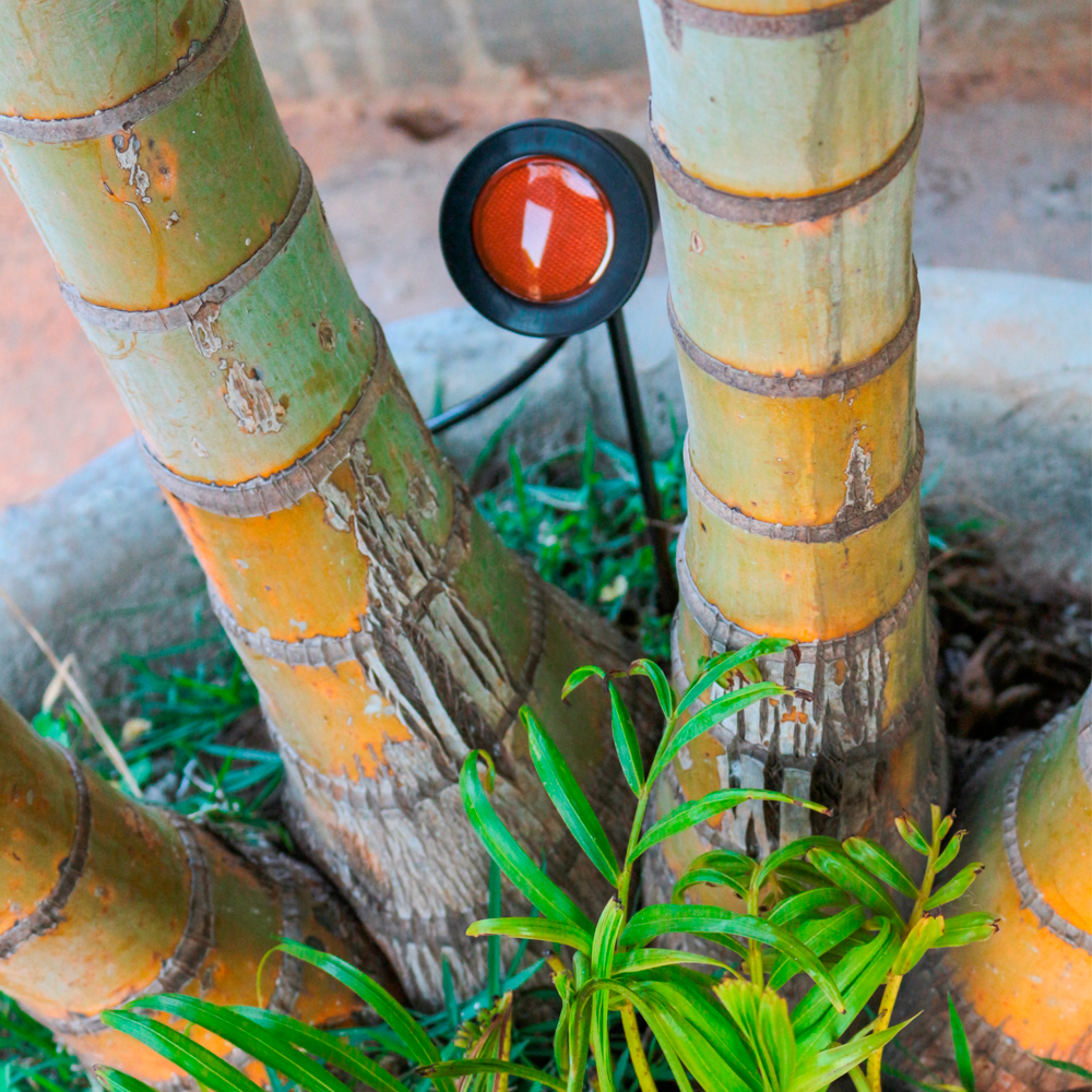 Espeto Com LED E Troca Cor Da Lente - Miniatura 4